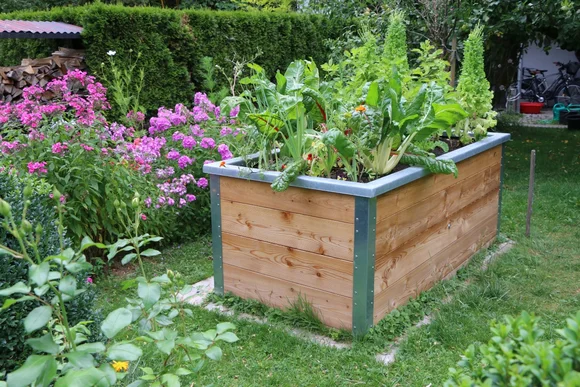 Holz Hochbeet mit Gemüse und Blumen